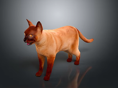 Orange Brown Cat With Yellow Eyes Standing On Gray Background Reflective Surface Open Mouth Pose 3d model