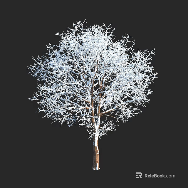 Leafless Tree With White Covered Branches And Brown Trunk Against Black Background 3d model 