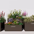 Brown Rectangular Flower Planters With Logo Filled With Colorful Flowers And Green Plants