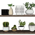 Indoor Potted Succulents And Plants On Wooden Wall Shelves With Decorative Pots