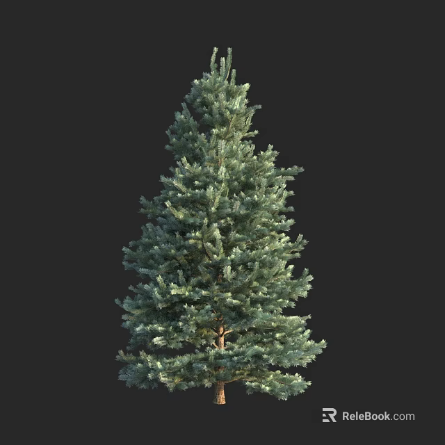 Evergreen Arbor With Lush Green Needles Natural Foliage And Isolated Black Background 3d model 