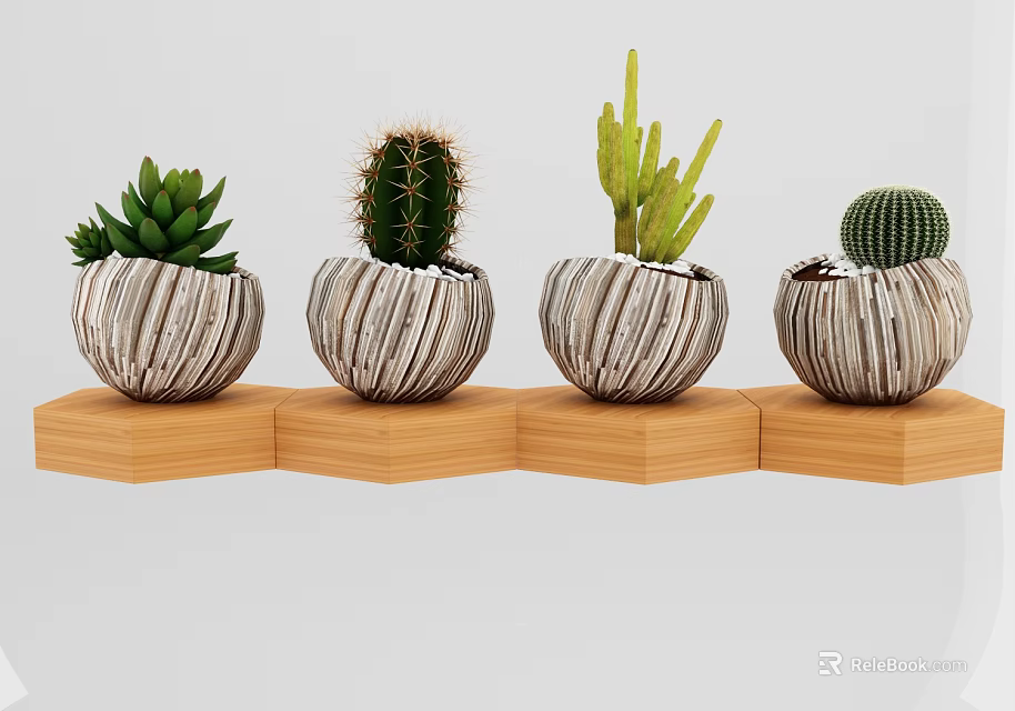 Bonsai Potted Plants with Cactus and Succulent in Textured Pots on Wooden Base 3d model 