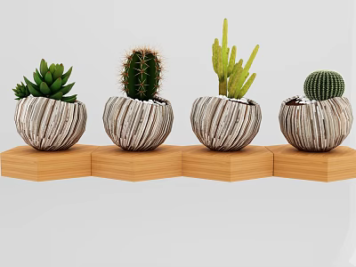 Bonsai Potted Plants with Cactus and Succulent in Textured Pots on Wooden Base 3d model