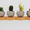 Bonsai Potted Plants with Cactus and Succulent in Textured Pots on Wooden Base
