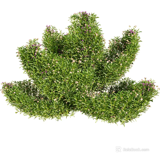Lush Green Flowering Plants With Purple Blooms And Dense Foliage Growth 3d model 