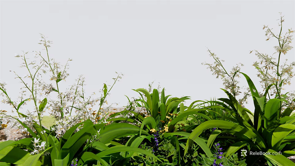 Vibrant Garden Display With Lush Green Leaves White Flowers And Purple Blooms 3d model 