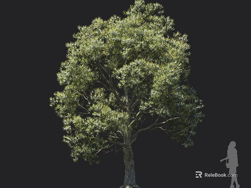 Tall Lush Arbor With Green Leaves And Thick Trunk Beside Silhouette Figure 3d model 