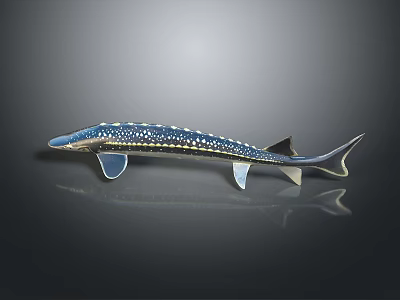 Blue Spotted Fish with Silver Fins and Tail on Dark Background with Reflection Below 3d model