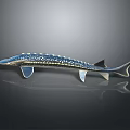 Blue Spotted Fish with Silver Fins and Tail on Dark Background with Reflection Below 3d model