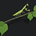 Realistic Green Praying Mantis Perched On Tree Branch With Fresh Green Leaves