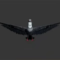 Decorative Pigeon With Blue Wings Red Feet White Head And Gray Background Floor Reflection