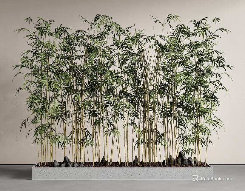 Lush Green Bamboo Plants Planted in Rectangular Concrete Planter with Stones Against Light Colored Wall 3d model 