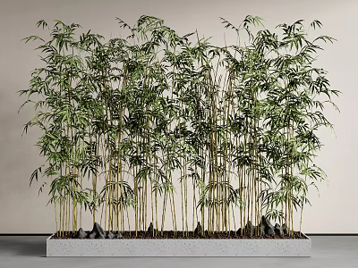 Lush Green Bamboo Plants Planted in Rectangular Concrete Planter with Stones Against Light Colored Wall 3d model
