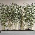 Lush Green Bamboo Plants Planted in Rectangular Concrete Planter with Stones Against Light Colored Wall
