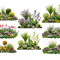 Colorful Garden Flowers And Plants With Various Species Shapes And Decorative Stones