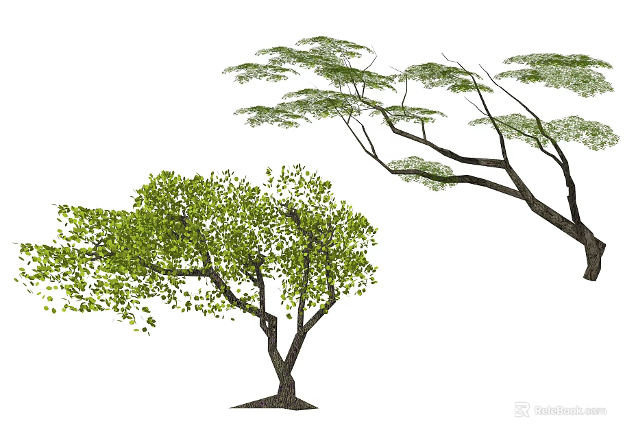 Two Lush Green Arbors With Vibrant Leaves Dense Foliage And Spreading Branches 3d model 