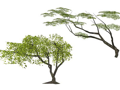 Two Lush Green Arbors With Vibrant Leaves Dense Foliage And Spreading Branches 3d model
