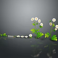 Plants with White Small Flowers and Green Leaves on Dark Surface Gray Background Reflections