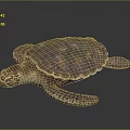 Detailed Iridescent Sea Turtle With Patterned Shell And Flippers On Black Surface