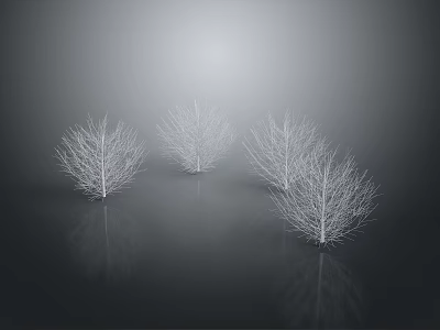 Three Leafless Trees With Gray Gradient Background And Ground Reflections 3d model