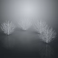 Three Leafless Trees With Gray Gradient Background And Ground Reflections
