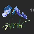Four Blue Poppies In Vase With Green Stems And Black Background