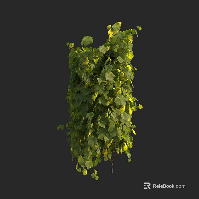 Lush Green Vine With Hanging Leaves And Natural Growth Pattern 3d model 