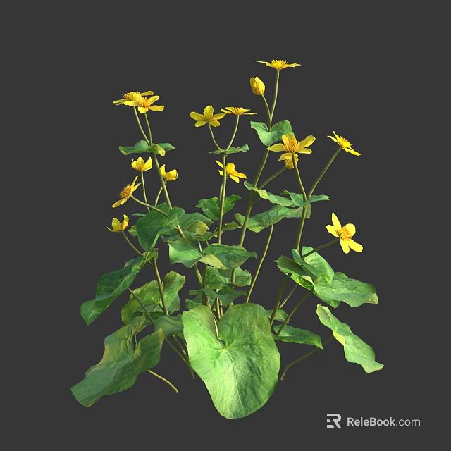 Vibrant Yellow Flowers With Lush Green Leaves Growing In Fresh Natural Environment 3d model 