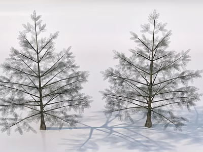 Two Tall Trees with Lush Branches Dense Green Leaves and Natural Growth Form 3d model