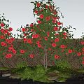 Vibrant Shrub With Red Flowers And Green Leaves In Garden Landscape