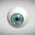Realistic 3D Rendered White Eyeball With Blue Iris And Black Pupil