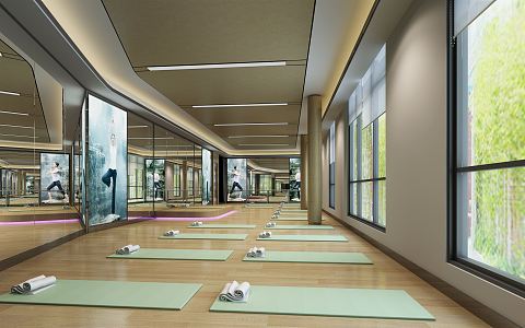 Modern Yoga Room Gym Yoga Room 3d model