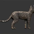 Spotted Cat Standing in Erect Posture against Dark Background with Slender Tail and Ears 3d model