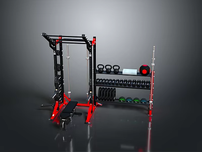 Red And Black Multi Functional Fitness Rack With Dumbbells Barbell Plates And Medicine Ball 3d model