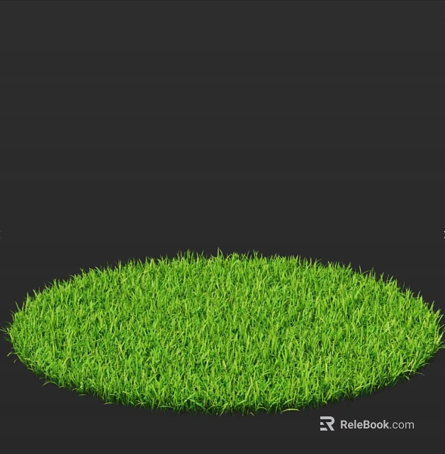 Vibrant Green Grass in Circular Shape with Fresh Lush Texture and Black Background 3d model 