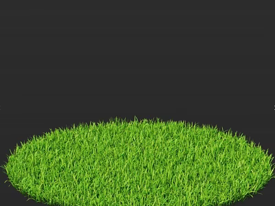 Vibrant Green Grass in Circular Shape with Fresh Lush Texture and Black Background 3d model