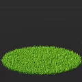Vibrant Green Grass in Circular Shape with Fresh Lush Texture and Black Background