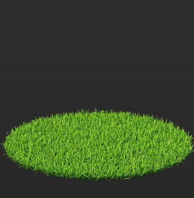 Vibrant Green Grass in Circular Shape with Fresh Lush Texture and Black Background 3d model