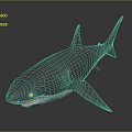 Gray Shark 3D Model with Open Mouth and Red Interior on Dark Background
