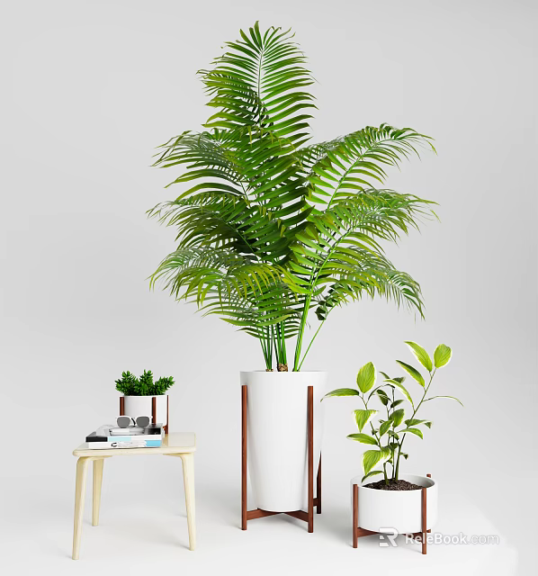 Bonsai Potted Plants with Lush Green Leaves in White Ceramic Pots for Indoor Home Decor 3d model 