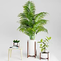 Bonsai Potted Plants with Lush Green Leaves in White Ceramic Pots for Indoor Home Decor