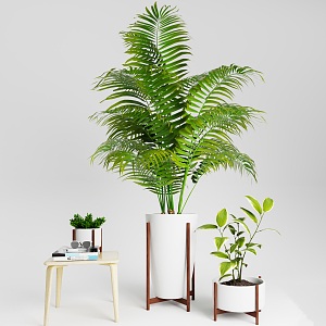 Modern Potted Plant Green Plant Potted Plant Furnishings 3d model