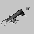 Cooked Whole Shrimp with Long Antennae and Curved Tail on Gray Surface