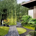Japanese Style Courtyard Garden With Bamboo Grove Stone Path And Trimmed Hedges