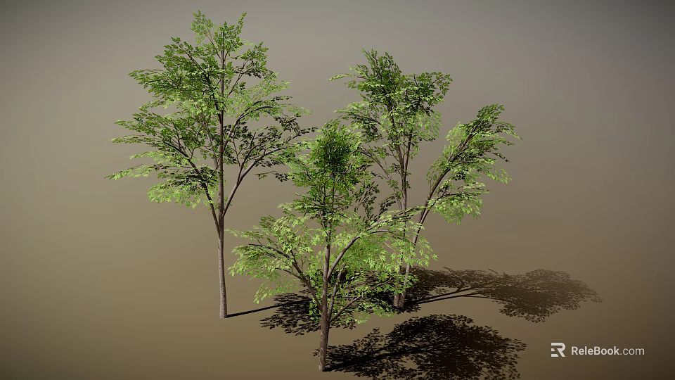 Lush Green Trees With Dense Foliage And Tree Trunks Casting Natural Shadows 3d model