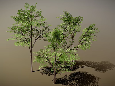 Lush Green Trees With Dense Foliage And Tree Trunks Casting Natural Shadows 3d model