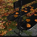 Black Garden Bench With Yellow Maple Leaves And Scattered Fallen Leaves In Autumn