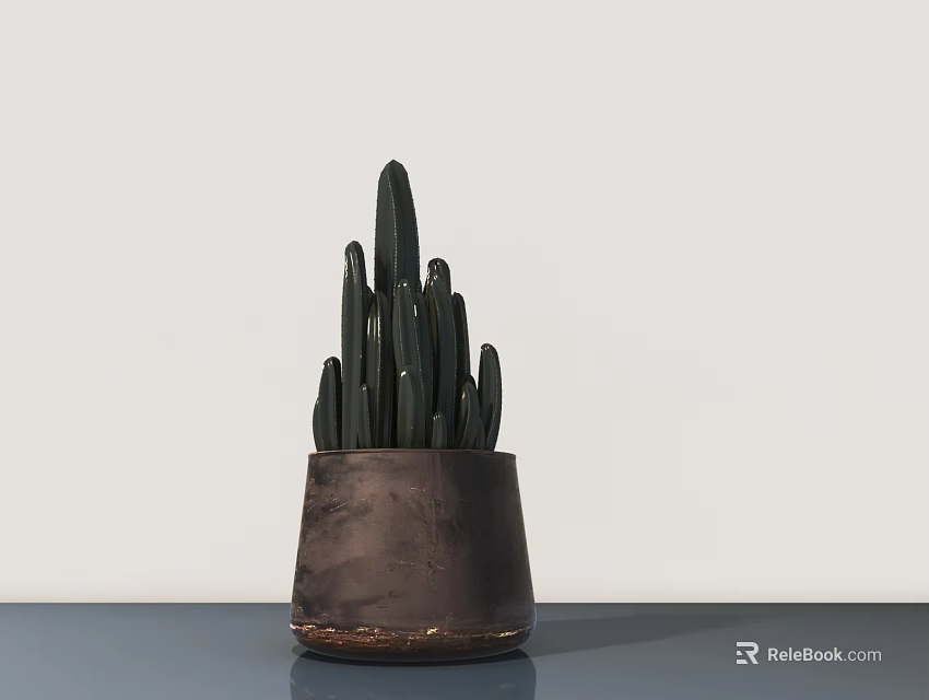 Cactus Bonsai Potted Plant in Dark Clay Pot on Tabletop with Light Background 3d model 