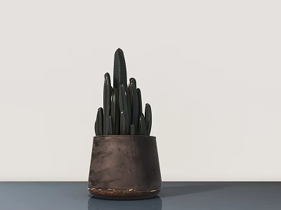 Cactus Bonsai Potted Plant in Dark Clay Pot on Tabletop with Light Background 3d model