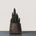Cactus Bonsai Potted Plant in Dark Clay Pot on Tabletop with Light Background